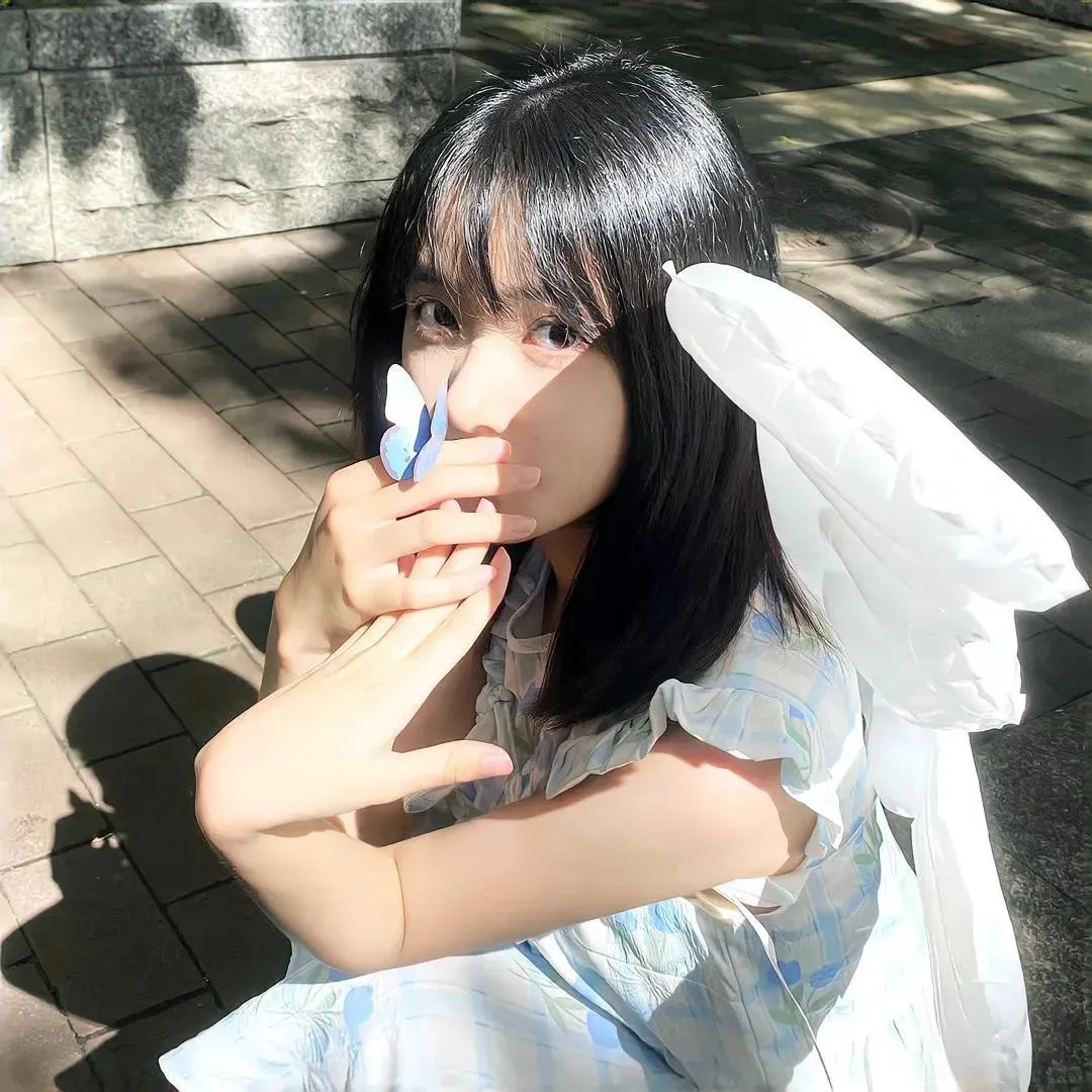 动画纪录