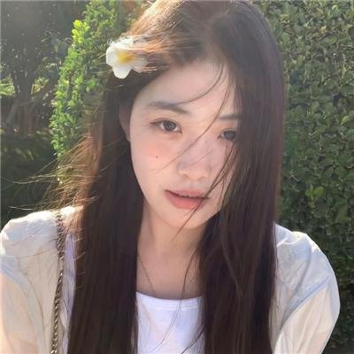 玫瑰的棋局